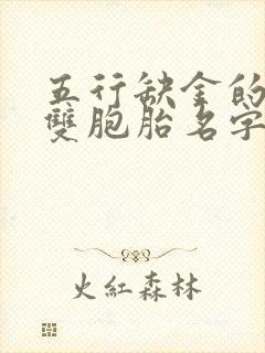 五行缺金的男孩双胞胎名字