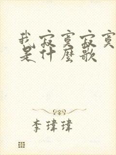 我寂寞寂寞就好是什么歌