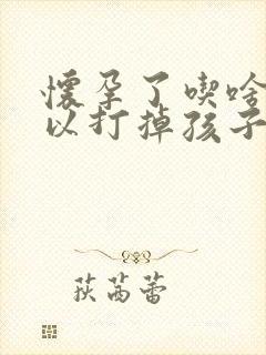 怀孕了吃啥药可以打掉孩子