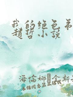 我的绝色弟媳妇赵哲小说