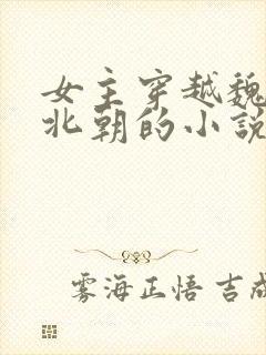 女主穿越魏晋南北朝的小说