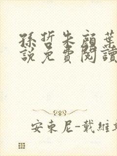 孙哲朱颜叶巧小说免费阅读笔趣阁