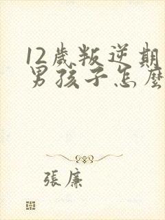 12岁叛逆期的男孩子怎么去引导