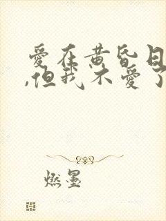 爱在黄昏日落时,但我不爱了