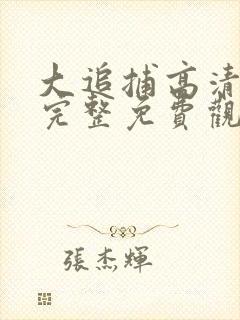 大追捕高清在线完整免费观看