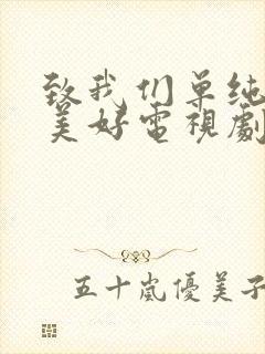 致我们单纯的小美好电视剧在线