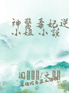神医毒妃逆天二小姐 小说