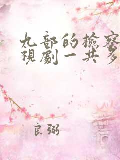 九部的检察官电视剧一共多少集