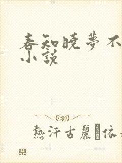 春知晓梦不觉 小说