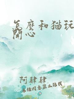 怎么和猫玩猫最开心