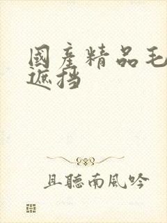 国产精品毛片无遮挡