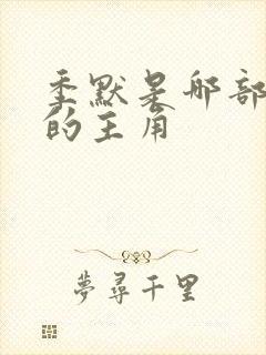 季默是哪部小说的主角