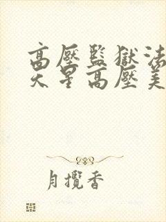 高压监狱法国满天星高压美版免费