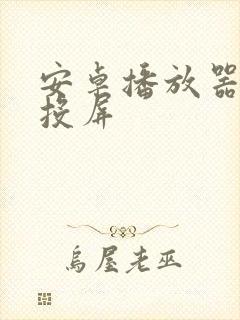 安卓播放器支持投屏