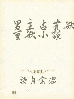 男主占有欲强且重欲小说