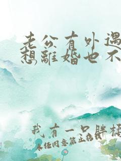 老公有外遇我不想离婚也不原谅怎么办