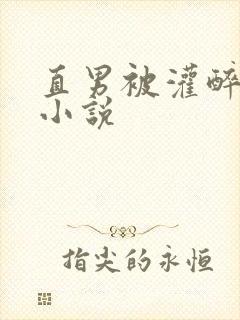 直男被灌醉迷d小说