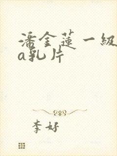 潘金莲一级淫片a乳片