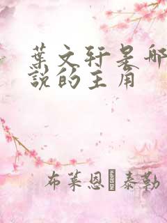 叶文轩是哪本小说的主角