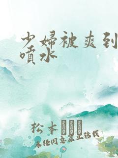 少妇被爽到高潮喷水