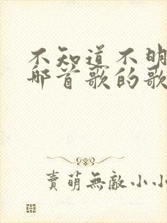 不知道不明了是哪首歌的歌词