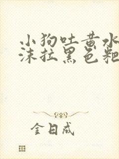 小狗吐黄水带泡沫拉黑色粑粑怎么办