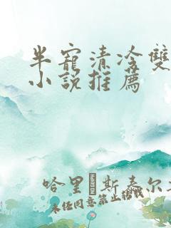 半宠清冷双男主小说推荐