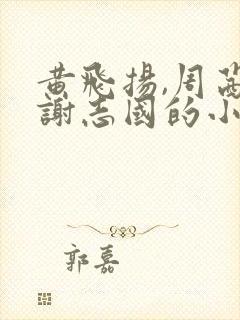 黄飞扬,周茜,谢志国的小说无广告