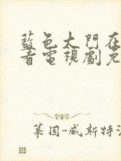 蓝色大门在线观看电视剧免费高清全集