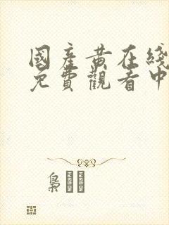 国产黄在线观看免费观看中文