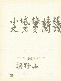 小城梅姨张强全文免费阅读