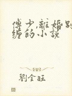 傅少,离婚别纠缠的小说