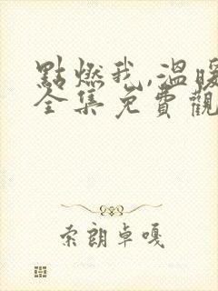 点燃我,温暖你全集免费观看完整版