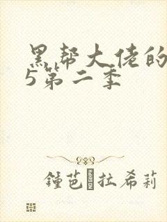 黑帮大佬的365第二季