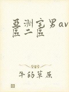 亚洲宅男av一区二区