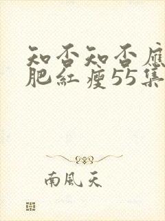 知否知否应是绿肥红瘦55集