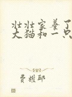 壮壮家养了一只大猫和一只小猫,平均每只猫