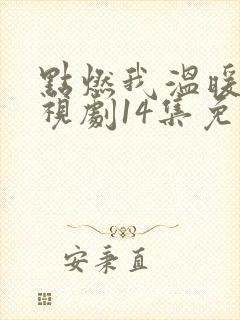 点燃我温暖你电视剧14集免费观看