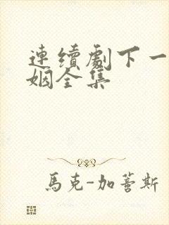 连续剧下一站婚姻全集
