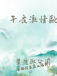 午夜激情欧美片