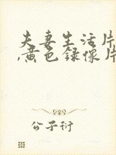 夫妻生活片一级,黄色录像片一级