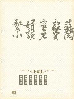 赘婿宁毅苏檀儿小说免费阅读全文