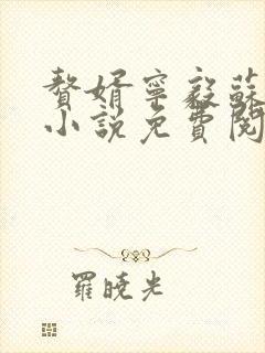 赘婿宁毅苏檀儿小说免费阅读全文