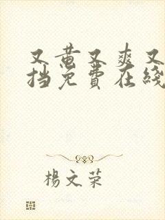 又黄又爽又无遮挡免费在线观看