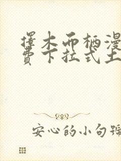 择木而栖漫画免费下拉式土豪漫画