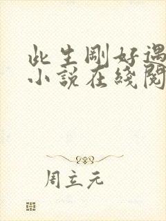 此生刚好遇见你小说在线阅读