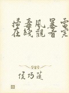 扫毒风暴电视剧在线观看完整版高清