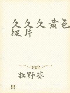 久久久黄色网一级片