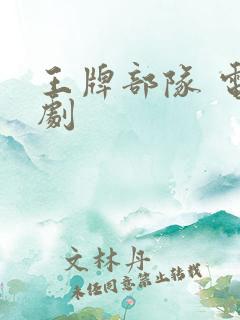 王牌部队 电视剧