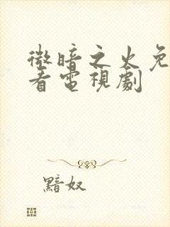 微暗之火免费观看电视剧